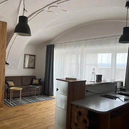 Studio Mit Garten Zentrum Lägenhet Enns
